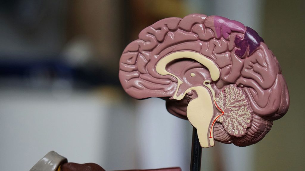 meditation research
meditation benefits        