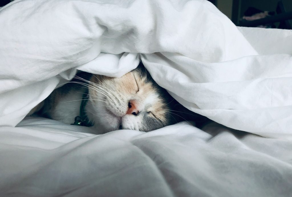 meditation techniques for better sleep, Meditations for Better Sleep